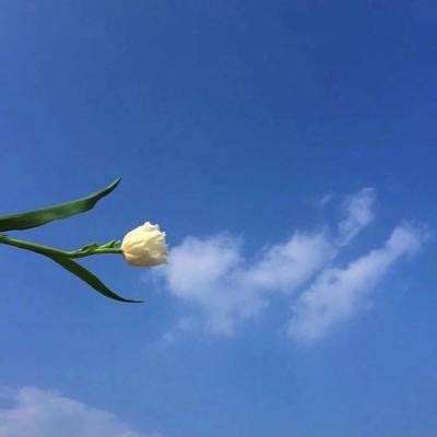 末日前线折扣端下载
